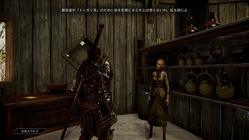 画像集#040のサムネイル/これぞ王道! BioWareが放つ「ドラゴンエイジ:インクイジション」は,冬の夜長にはもってこいの「満漢全席」なアクションRPGだ