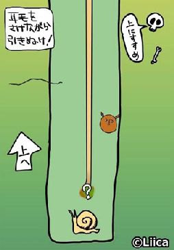 毎日の耳かき