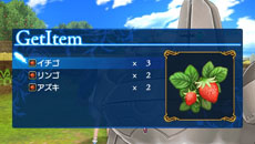 画像ギャラリー No.012のサムネイル画像 / 「シャイニング・アーク」冒険の拠点となるアゼル村で楽しめる要素を紹介。NPCの一人であるガルゼーのプロフィールなども公開に