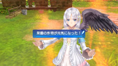 画像ギャラリー No.013のサムネイル画像 / 「シャイニング・アーク」冒険の拠点となるアゼル村で楽しめる要素を紹介。NPCの一人であるガルゼーのプロフィールなども公開に