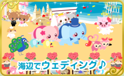 ������#003�Υ���ͥ���/�֥��祳�ܤΥ��祳�ä�����פΥ����ӥ���mixi���������������