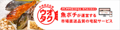 ꡼ No.003Υͥ / ꥹԥåġפΥ礫鼫Ϥڡ󤬳