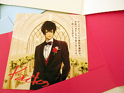 ���������꡼ No.020�Υ���ͥ������ / ��ȷ뺧��ʬ��̣�廊��̴�Υ���ܥ��٥�ȡ֤Ȥ��᤭�쥹�ȥ��������ߥ���ޥꥢ�� TOKYO❤Wedding�ץ�ݡ���