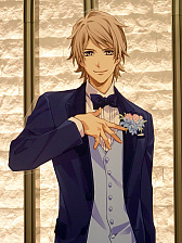 ���������꡼ No.029�Υ���ͥ������ / ��ȷ뺧��ʬ��̣�廊��̴�Υ���ܥ��٥�ȡ֤Ȥ��᤭�쥹�ȥ��������ߥ���ޥꥢ�� TOKYO❤Wedding�ץ�ݡ���