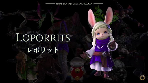 ꡼ No.028Υͥ / FFXIV DIGITAL FAN FESTIVAL 2021פδĴֱݡȡֶǷΥեʡפǡȥɤɲäʤɥץ饤ȯɽ
