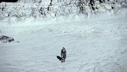 ꡼ No.098Υͥ / FFXIV DIGITAL FAN FESTIVAL 2021פδĴֱݡȡֶǷΥեʡפǡȥɤɲäʤɥץ饤ȯɽ