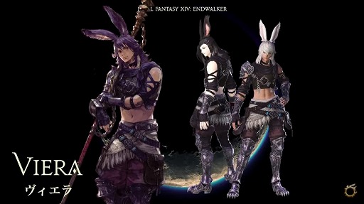 ꡼ No.015Υͥ / FFXIVפΥե󥤥٥ȡFFXIV ǥեեƥХ 2021ɤݡȡ2ˤ錄äθΤǮ