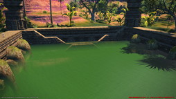 ꡼ No.052Υͥ / FFXIVǷΥեʡפо줹ȥɡ㡼쥢ɤʤɤοꥢȿ󥹥󥹥󥸥Ȱ۷ϰ åȤɤҲ
