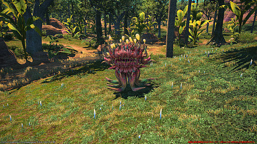 ꡼ No.055Υͥ / FFXIVǷΥեʡפо줹ȥɡ㡼쥢ɤʤɤοꥢȿ󥹥󥹥󥸥Ȱ۷ϰ åȤɤҲ