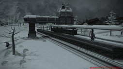 ꡼ No.062Υͥ / FFXIVǷΥեʡפо줹ȥɡ㡼쥢ɤʤɤοꥢȿ󥹥󥹥󥸥Ȱ۷ϰ åȤɤҲ
