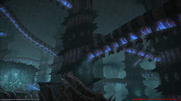 ꡼ No.077Υͥ / FFXIVǷΥեʡפо줹ȥɡ㡼쥢ɤʤɤοꥢȿ󥹥󥹥󥸥Ȱ۷ϰ åȤɤҲ