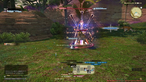 ꡼ No.002Υͥ / FFXIVǷΥեʡפδ¸17֤ѲǧѤäΤ