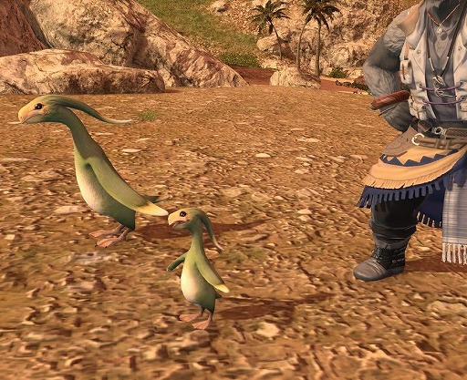 ꡼ No.016Υͥ / ֥եʥե󥿥XIVפοʥƤߤʤ8ǯʾ³MMORPG¸ߤ륢֥ȤҲ