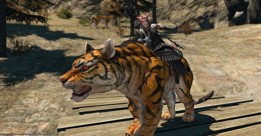 ꡼ No.022Υͥ / ֥եʥե󥿥XIVפοʥƤߤʤ8ǯʾ³MMORPG¸ߤ륢֥ȤҲ