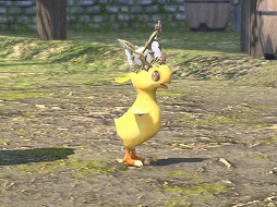 ꡼ No.031Υͥ / ֥եʥե󥿥XIVפοʥƤߤʤ8ǯʾ³MMORPG¸ߤ륢֥ȤҲ