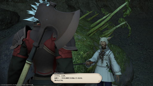 ꡼ No.005Υͥ / FFXIVפͷ֤ʤ鲿㤨Ф 줫Ϥ褦¤äƤĶ鿴Ԥ˥೫ϤޤǤΥƥåפҲ