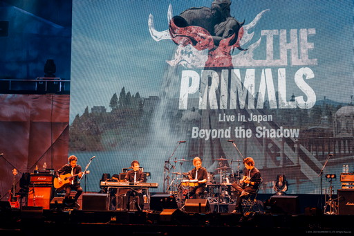 ꡼ No.020Υͥ / 4ǯ֤ΡTHE PRIMALS饤֤ˡȥ쥸ɡɤо졪THE PRIMALS Live in Japan - Beyond the ShadowץݡȤǺ