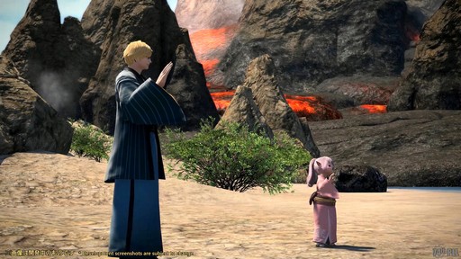 画像ギャラリー No.008のサムネイル画像 / 第74回「FFXIV」PLLをレポート。パッチ6.3で絶シリーズ第5弾やディープダンジョン第3弾が登場。ハウジングエリアに新区画の追加も