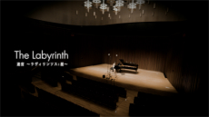 ꡼ No.005Υͥ / FFXIVפΥХForge Ahead:FINAL FANTASY XIV  Arrangement Album ȯ䡣ԥΡХɥ󥸤줿19ʤϿ