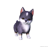 ꡼ No.007Υͥ / FFXIVסߡFFXVIץСȡֱƤιϩ곫šȥꥢɶȥ륬ΥޥȤȥߥ˥ʤɤ