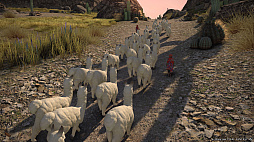 ꡼ No.012Υͥ / FFXIVΥ쥬ץ٥ޡեȤۿ4141600Υ饯θǽ