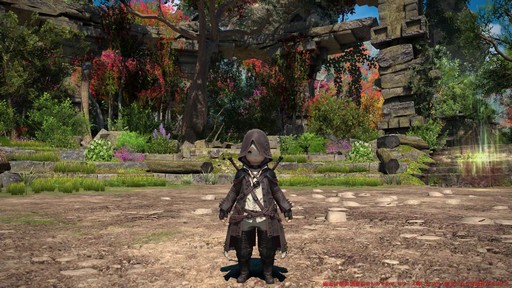꡼ No.001Υͥ / Υץ쥤ݡϡFFXIV: Υ쥬׺ǿ2֤ץ쥤ѡȥԥȥޥ󥵡μ꿨ϡ