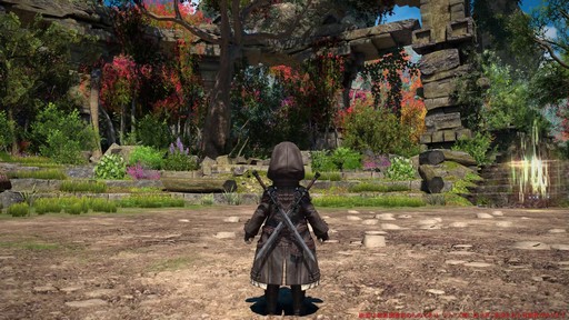 ꡼ No.003Υͥ / Υץ쥤ݡϡFFXIV: Υ쥬׺ǿ2֤ץ쥤ѡȥԥȥޥ󥵡μ꿨ϡ