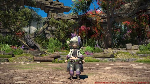 ꡼ No.015Υͥ / Υץ쥤ݡϡFFXIV: Υ쥬׺ǿ2֤ץ쥤ѡȥԥȥޥ󥵡μ꿨ϡ