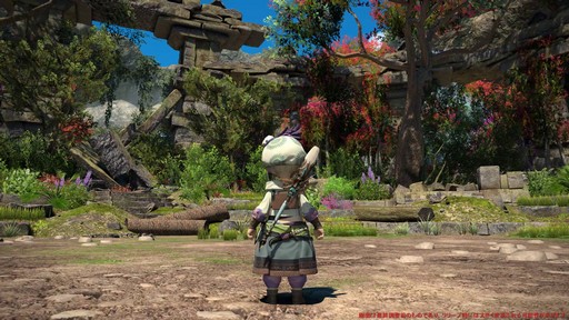 ꡼ No.016Υͥ / Υץ쥤ݡϡFFXIV: Υ쥬׺ǿ2֤ץ쥤ѡȥԥȥޥ󥵡μ꿨ϡ