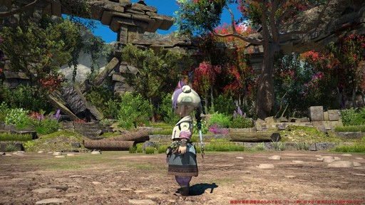 ꡼ No.017Υͥ / Υץ쥤ݡϡFFXIV: Υ쥬׺ǿ2֤ץ쥤ѡȥԥȥޥ󥵡μ꿨ϡ