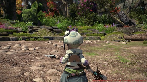 ꡼ No.018Υͥ / Υץ쥤ݡϡFFXIV: Υ쥬׺ǿ2֤ץ쥤ѡȥԥȥޥ󥵡μ꿨ϡ