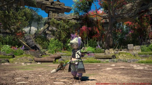 ꡼ No.019Υͥ / Υץ쥤ݡϡFFXIV: Υ쥬׺ǿ2֤ץ쥤ѡȥԥȥޥ󥵡μ꿨ϡ