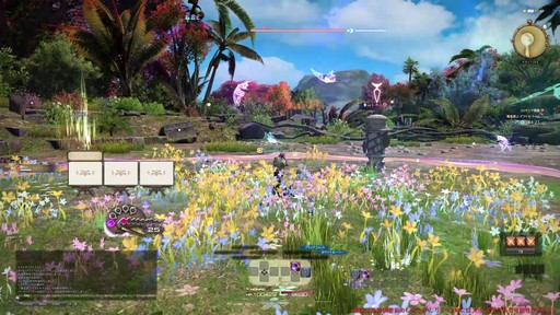 ꡼ No.047Υͥ / Υץ쥤ݡϡFFXIV: Υ쥬׺ǿ2֤ץ쥤ѡȥԥȥޥ󥵡μ꿨ϡ