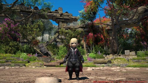 ꡼ No.029Υͥ / Υץ쥤ݡϡFFXIV: Υ쥬פǴ¸Υ󥯤ȥҡ顼ϲѤäΤ8֤Ĵå