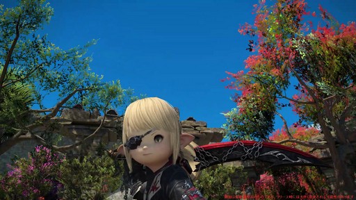 ꡼ No.033Υͥ / Υץ쥤ݡϡFFXIV: Υ쥬פǴ¸Υ󥯤ȥҡ顼ϲѤäΤ8֤Ĵå