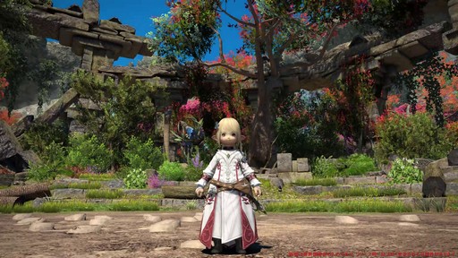 ꡼ No.039Υͥ / Υץ쥤ݡϡFFXIV: Υ쥬פǴ¸Υ󥯤ȥҡ顼ϲѤäΤ8֤Ĵå