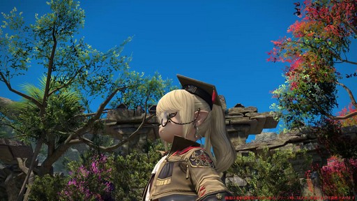 ꡼ No.051Υͥ / Υץ쥤ݡϡFFXIV: Υ쥬פǴ¸Υ󥯤ȥҡ顼ϲѤäΤ8֤Ĵå