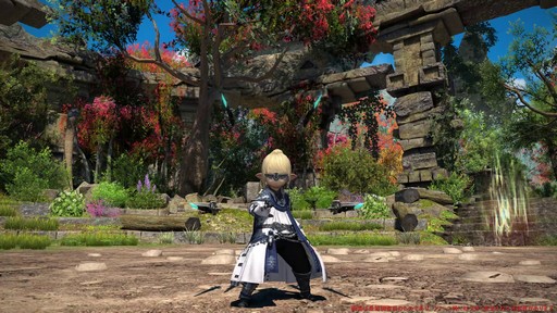 ꡼ No.070Υͥ / Υץ쥤ݡϡFFXIV: Υ쥬פǴ¸Υ󥯤ȥҡ顼ϲѤäΤ8֤Ĵå