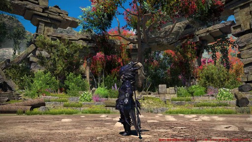꡼ No.015Υͥ / Υץ쥤ݡϡFFXIV: Υ쥬פδ¸DPSå11֤Ĵϡ