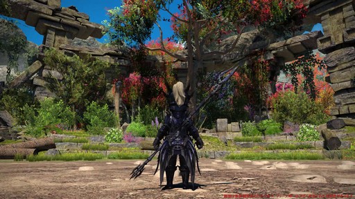 ꡼ No.016Υͥ / Υץ쥤ݡϡFFXIV: Υ쥬פδ¸DPSå11֤Ĵϡ