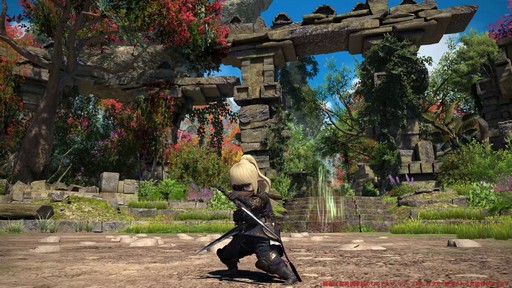 ꡼ No.027Υͥ / Υץ쥤ݡϡFFXIV: Υ쥬פδ¸DPSå11֤Ĵϡ