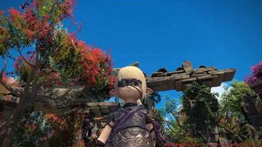 ꡼ No.028Υͥ / Υץ쥤ݡϡFFXIV: Υ쥬פδ¸DPSå11֤Ĵϡ