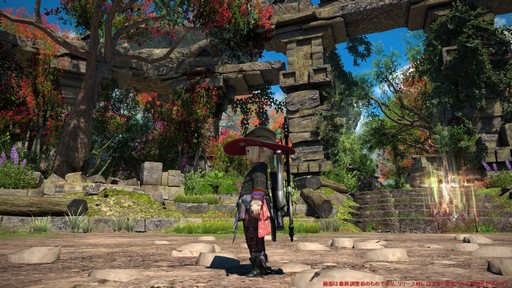 ꡼ No.055Υͥ / Υץ쥤ݡϡFFXIV: Υ쥬פδ¸DPSå11֤Ĵϡ