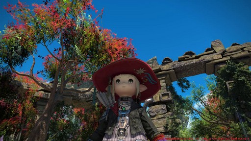 ꡼ No.058Υͥ / Υץ쥤ݡϡFFXIV: Υ쥬פδ¸DPSå11֤Ĵϡ