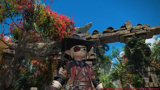 ꡼ No.066Υͥ / Υץ쥤ݡϡFFXIV: Υ쥬פδ¸DPSå11֤Ĵϡ