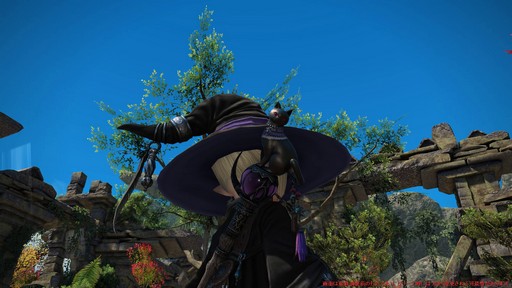 ꡼ No.083Υͥ / Υץ쥤ݡϡFFXIV: Υ쥬פδ¸DPSå11֤Ĵϡ