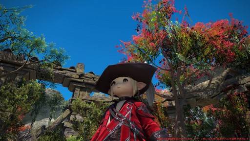 ꡼ No.104Υͥ / Υץ쥤ݡϡFFXIV: Υ쥬פδ¸DPSå11֤Ĵϡ