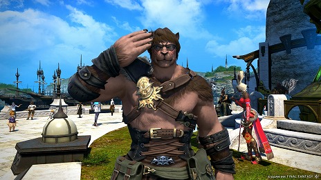꡼ No.004Υͥ / FFXIV: Υ쥬HIKAKIN󡤤Ϥᤷ硼󤬽б餹뿷TVCM꡼֥ҥ󡢥ҥˤʤ