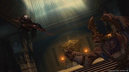 ꡼ No.008Υͥ / FFXIV׺ǿĥѥåֲΥ쥬ס꡼ͽԸ˳