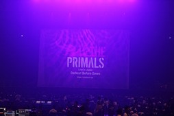 ꡼ No.013Υͥ / Υҥǲͥ꡼ʤɤ줿THE PRIMALS Live in Japan - Darkest Before Dawnץݡ